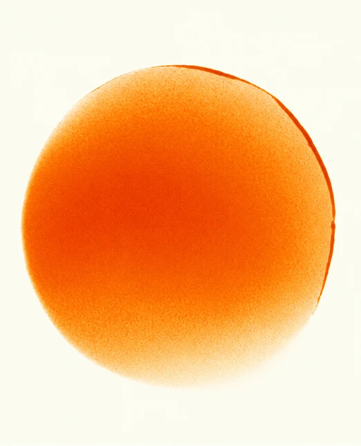An abstract orange sphere on a pale ground, softly lit.